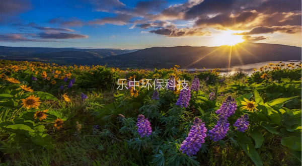 污水處理廠活性污泥法日常管理中，需要監(jiān)測(cè)與注意的參數(shù)-樂(lè)中環(huán)保