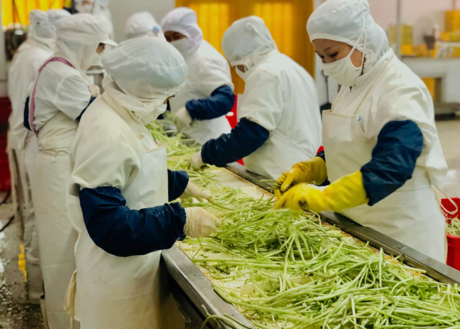 三種食品污水處理設(shè)備工藝流程，看看哪種適合您？
