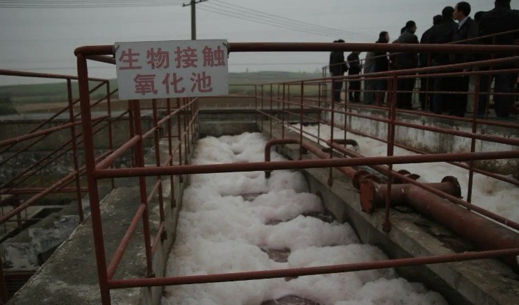 生物接觸氧化池的作用是什么？（生物接觸氧化池去除什么）-01