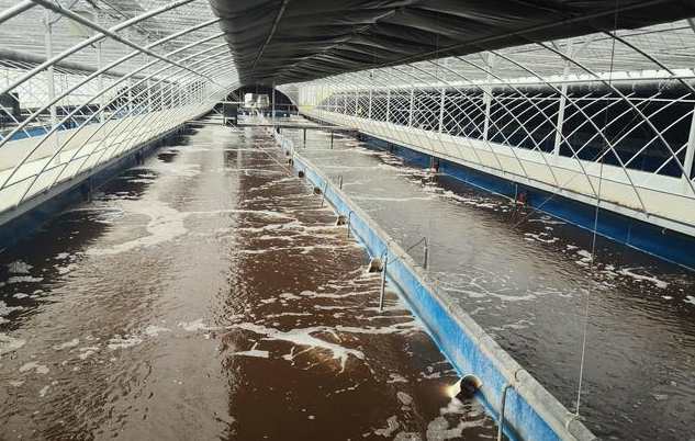 畜禽污水處理的方法、步驟（主流畜禽污水處理工藝有哪些）